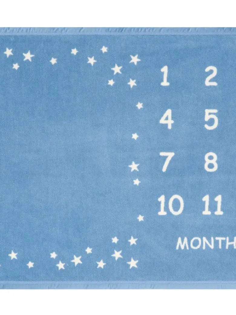 MILESTONE MINI BLANKET