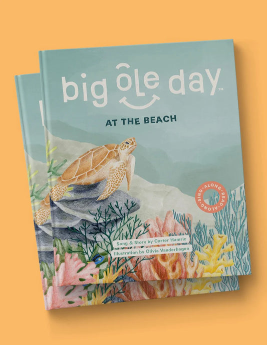 BIG OLE DAY BOOK