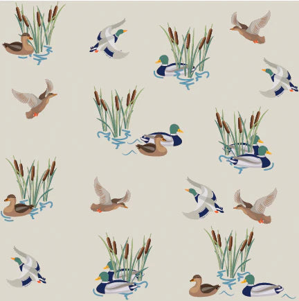 QUACKY ADVENTURE FOOTIE