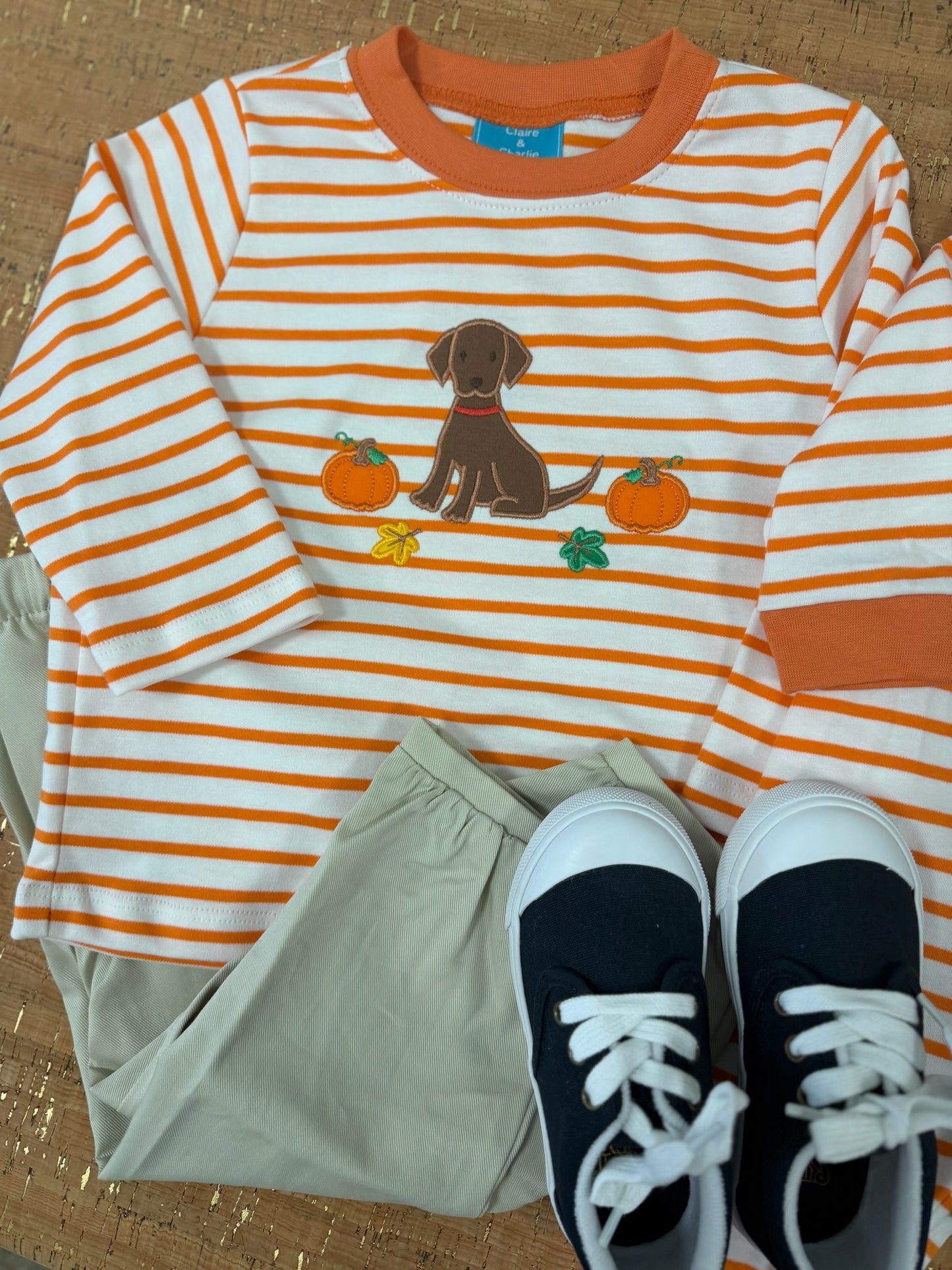 FALL PUPPY ORANGE SHIRT
