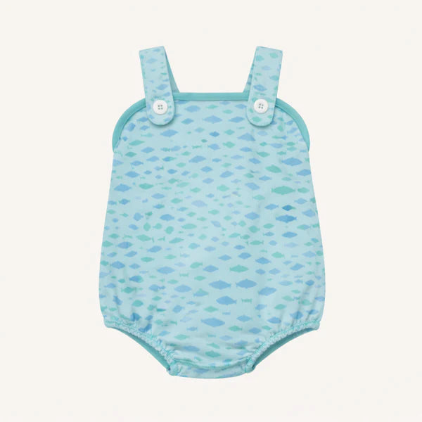 BINGHAM BUBBLE SARASOTA SCHOOL OF FISH