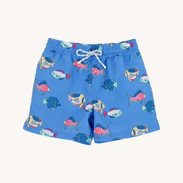 HERE FISHY FISHY TORTOLA TRUNKS