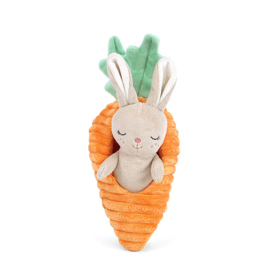 BUNNY IN CARROT TOY