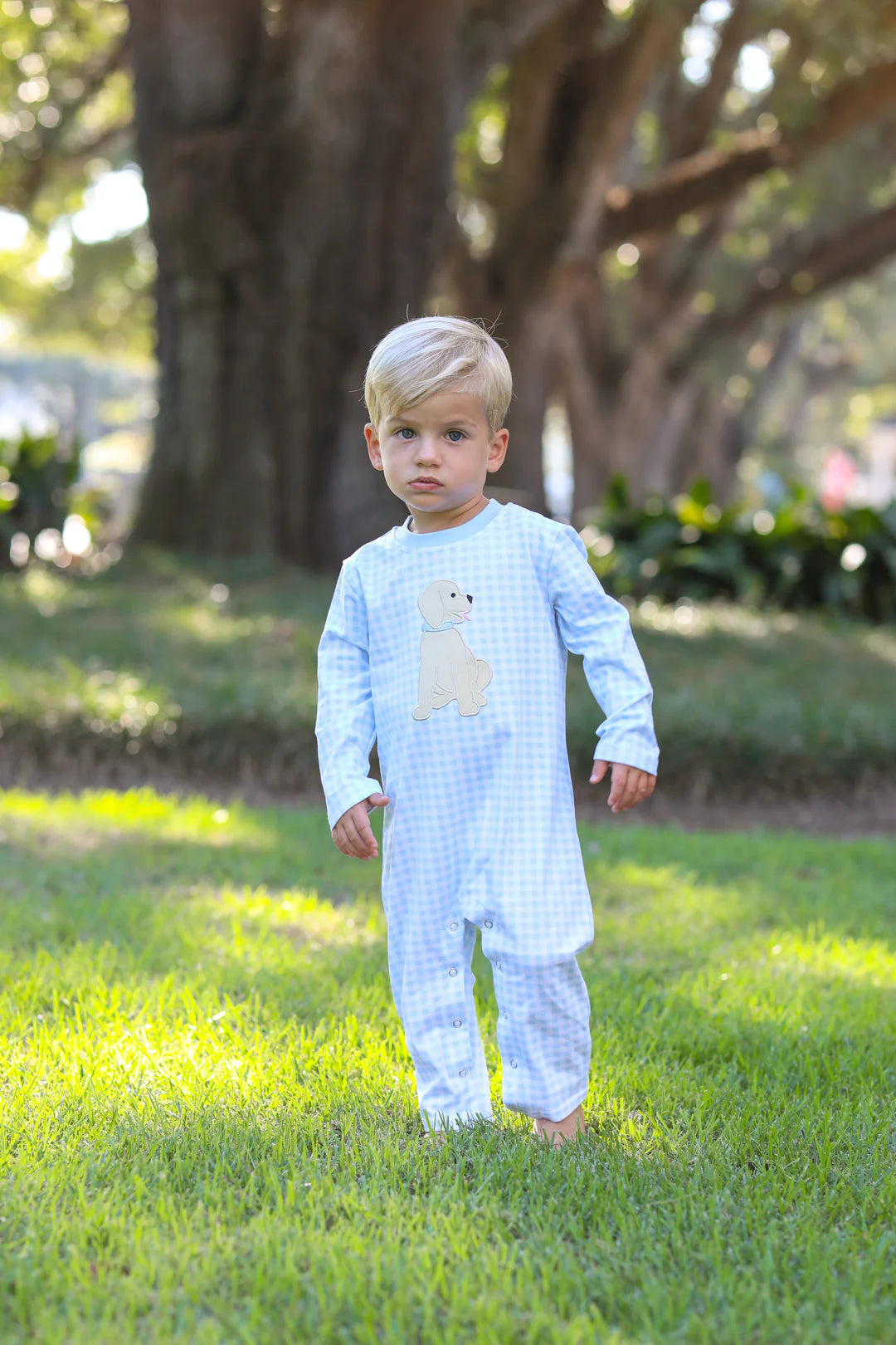 BLUE PUPPY ROMPER