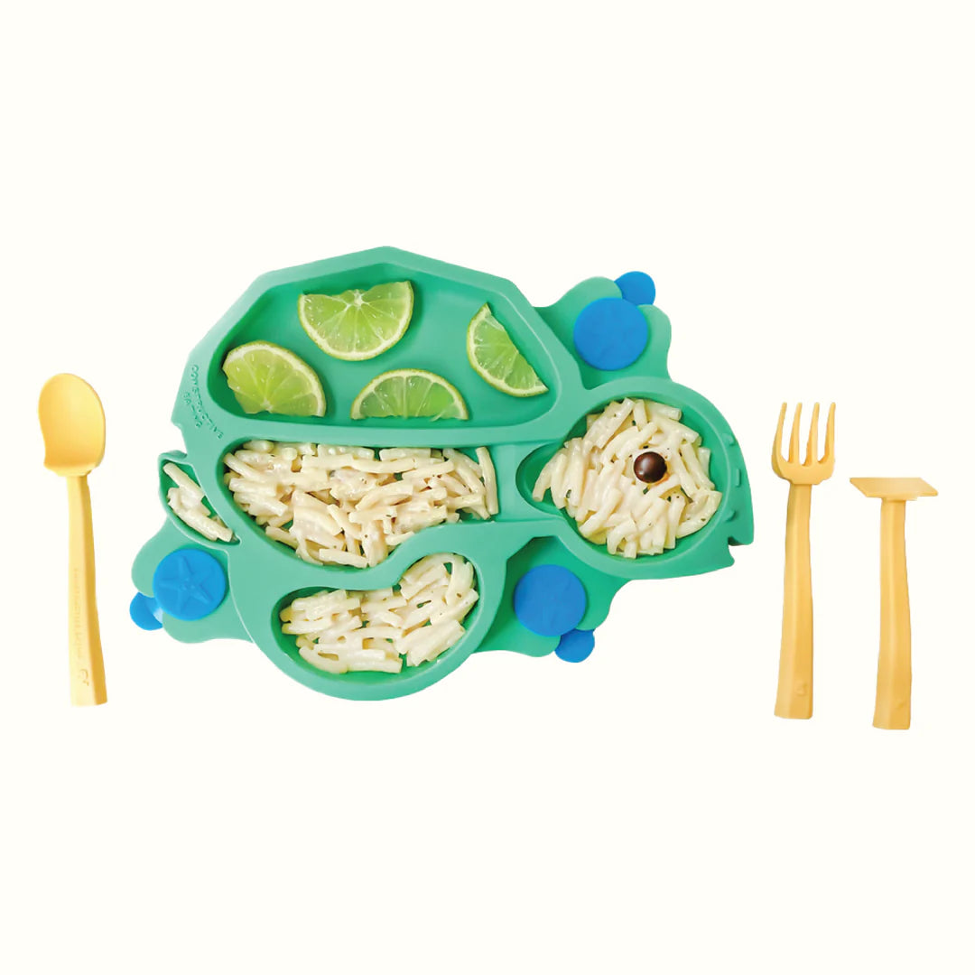 TURTLE TRAINING PLATE