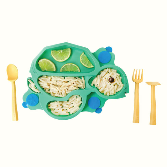 TURTLE TRAINING PLATE