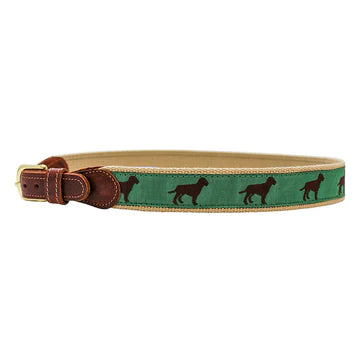 BB Chocolate Lab Belt